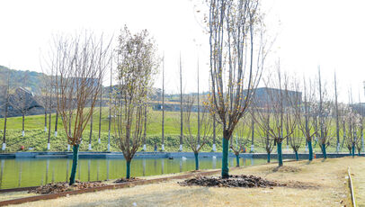 &ldquo;我为浙音种棵树&rdquo;&mdash;&mdash;植树节 ...